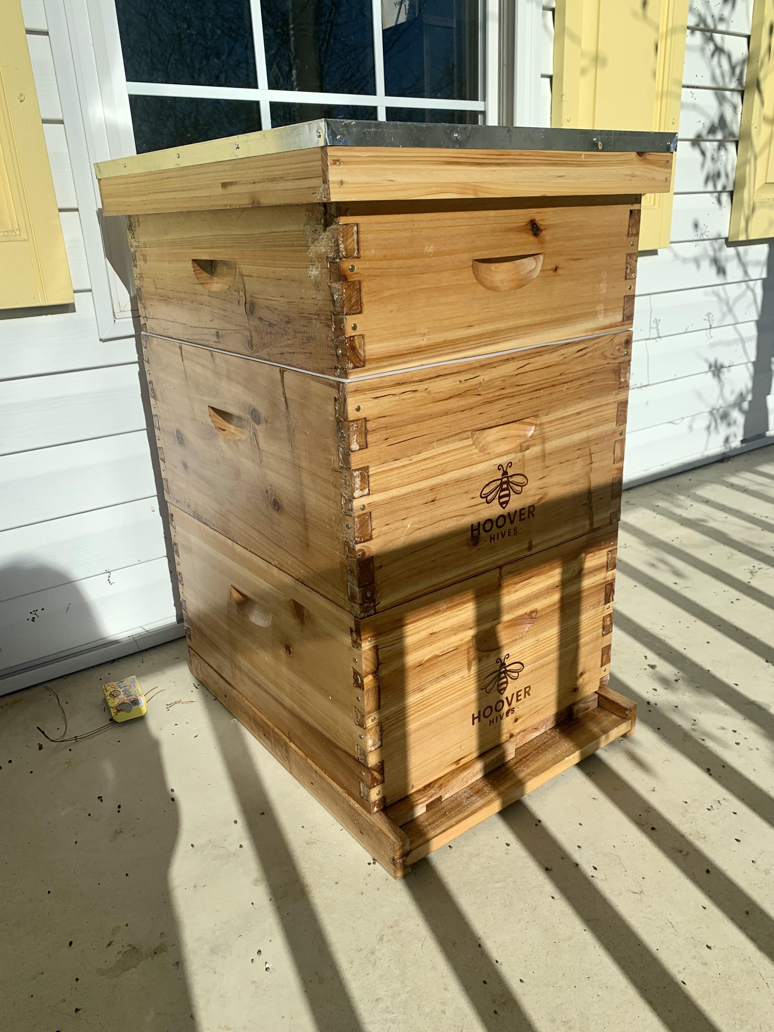 Honey Bees